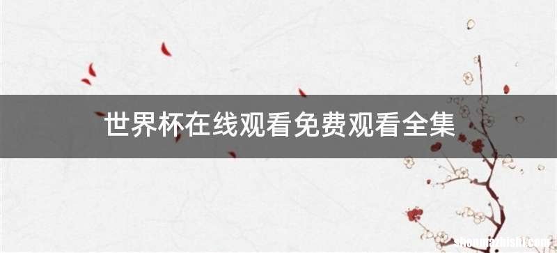 世界杯在线观看免费观看全集