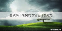 墨镜摘下来哭的表情包什么意思