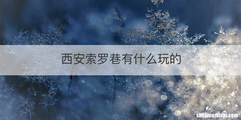 西安索罗巷有什么玩的