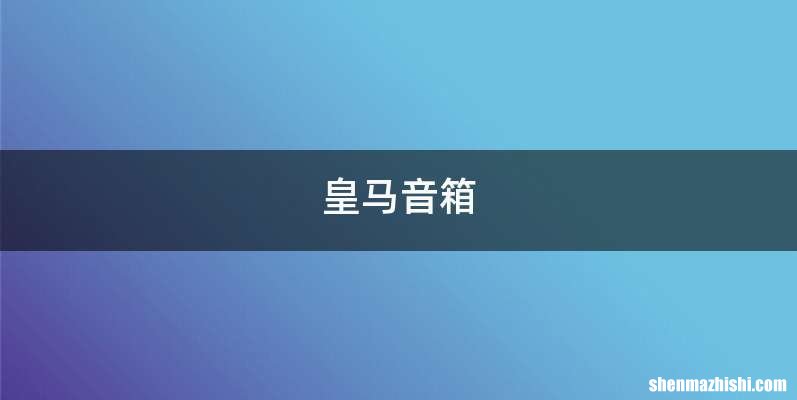 皇马音箱