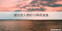 建议穷人养的10种肉食鱼