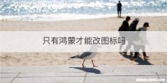 只有鸿蒙才能改图标吗