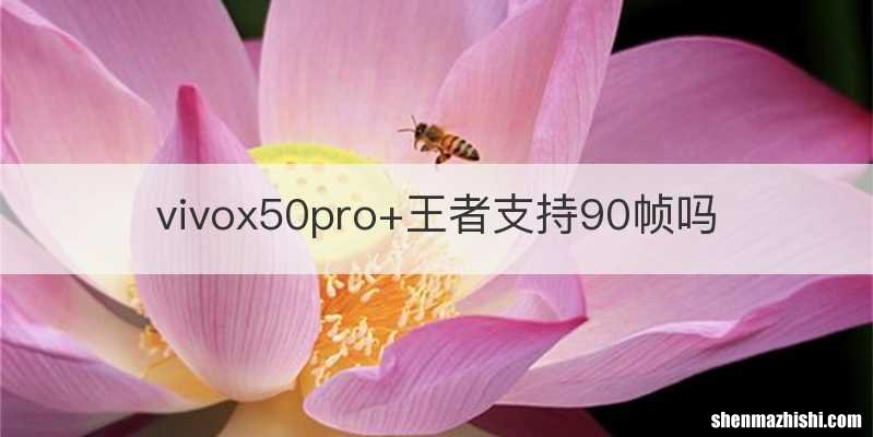 vivox50pro+王者支持90帧吗