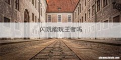 闪玩能玩王者吗