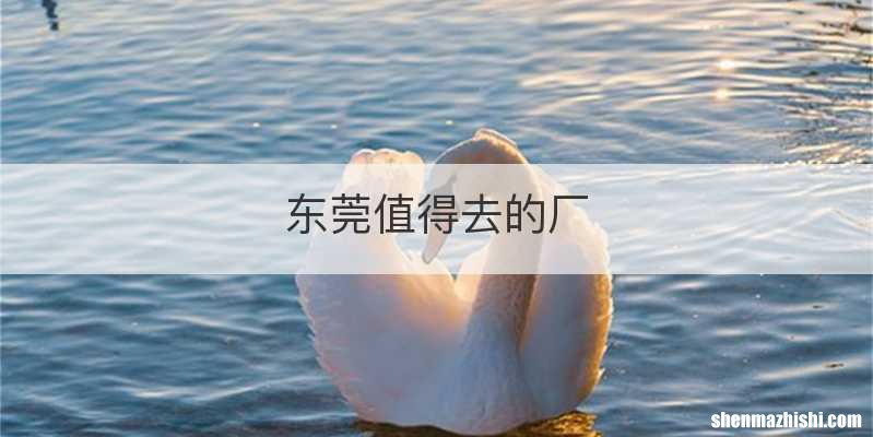 东莞值得去的厂