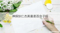神探狄仁杰英曼是百合子吗