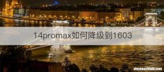 14promax如何降级到1603
