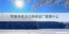 苹果手机没过保修返厂需要什么