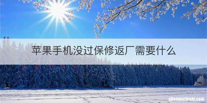 苹果手机没过保修返厂需要什么