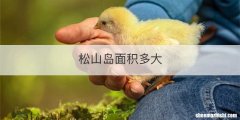 松山岛面积多大