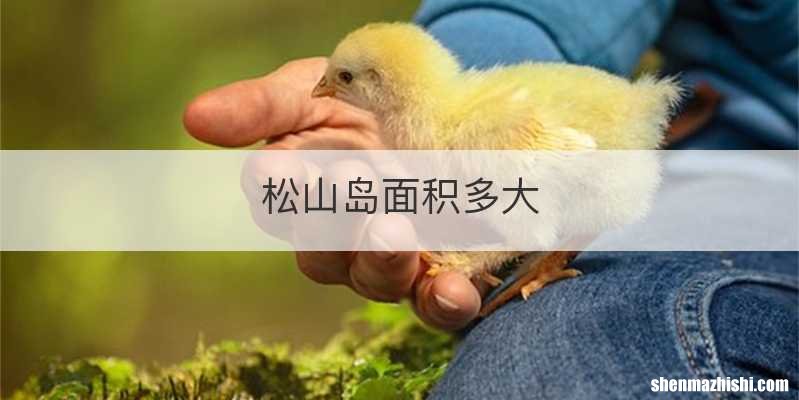 松山岛面积多大