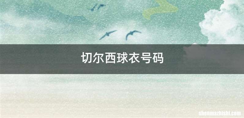 切尔西球衣号码