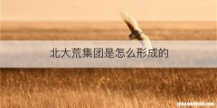 北大荒集团是怎么形成的