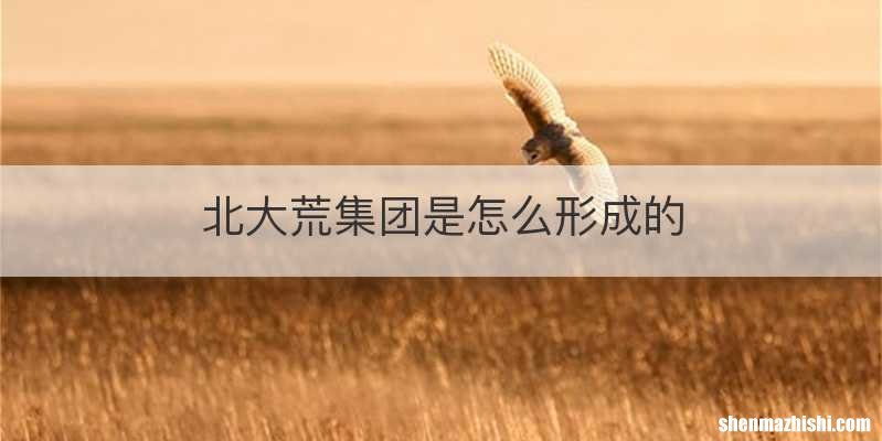 北大荒集团是怎么形成的