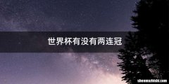 世界杯有没有两连冠