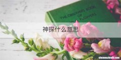 神探什么意思