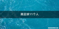 踢足球11个人