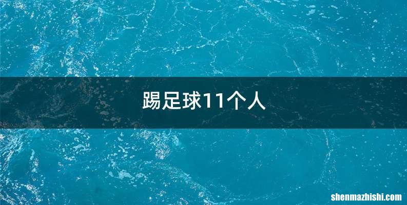 踢足球11个人