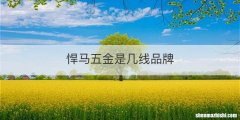 悍马五金是几线品牌