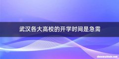 武汉各大高校的开学时间是急需