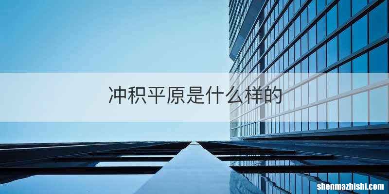 冲积平原是什么样的
