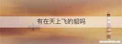 有在天上飞的貂吗