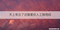 天上有云了还需要你人工降雨吗