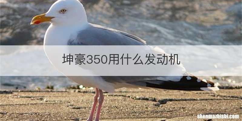坤豪350用什么发动机