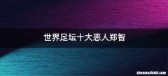 世界足坛十大恶人郑智