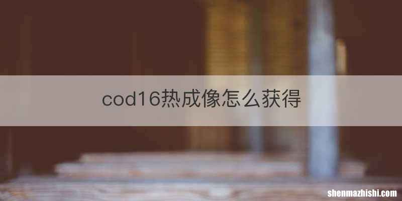cod16热成像怎么获得