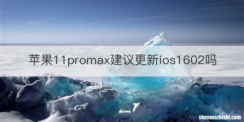 苹果11promax建议更新ios1602吗