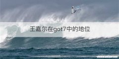 王嘉尔在got7中的地位