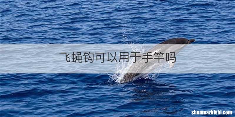 飞蝇钩可以用于手竿吗