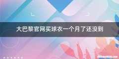 大巴黎官网买球衣一个月了还没到