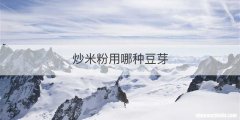 炒米粉用哪种豆芽