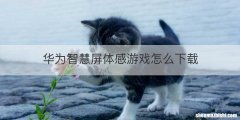 华为智慧屏体感游戏怎么下载