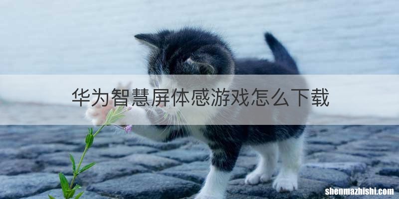 华为智慧屏体感游戏怎么下载