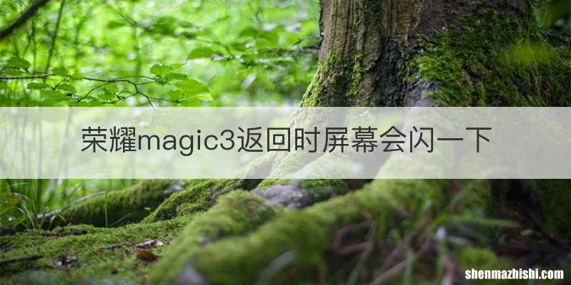 荣耀magic3返回时屏幕会闪一下