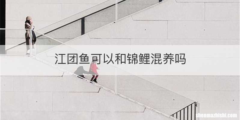 江团鱼可以和锦鲤混养吗
