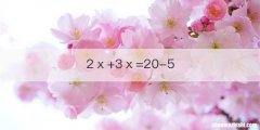2ⅹ+3ⅹ=20-5