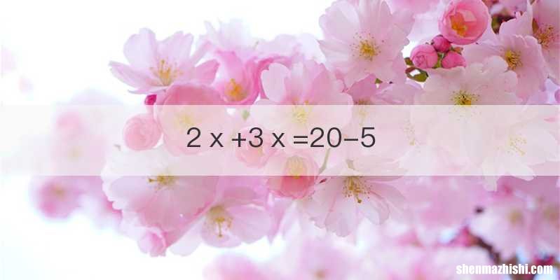 2ⅹ+3ⅹ=20-5