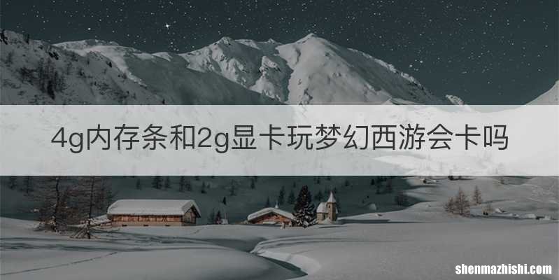 4g内存条和2g显卡玩梦幻西游会卡吗