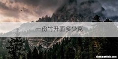 一份竹升面多少克