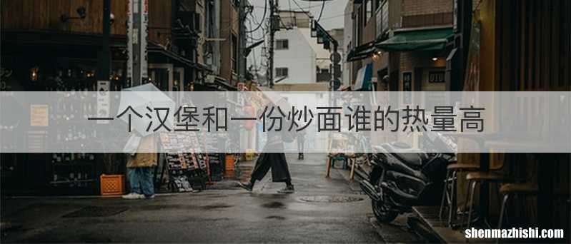 一个汉堡和一份炒面谁的热量高