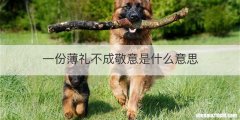 一份薄礼不成敬意是什么意思