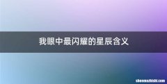 我眼中最闪耀的星辰含义