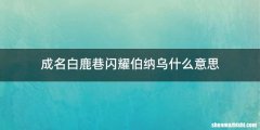 成名白鹿巷闪耀伯纳乌什么意思