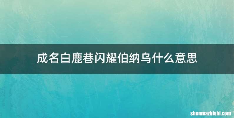 成名白鹿巷闪耀伯纳乌什么意思