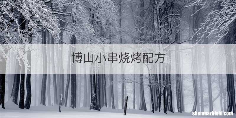 博山小串烧烤配方