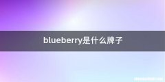 blueberry是什么牌子